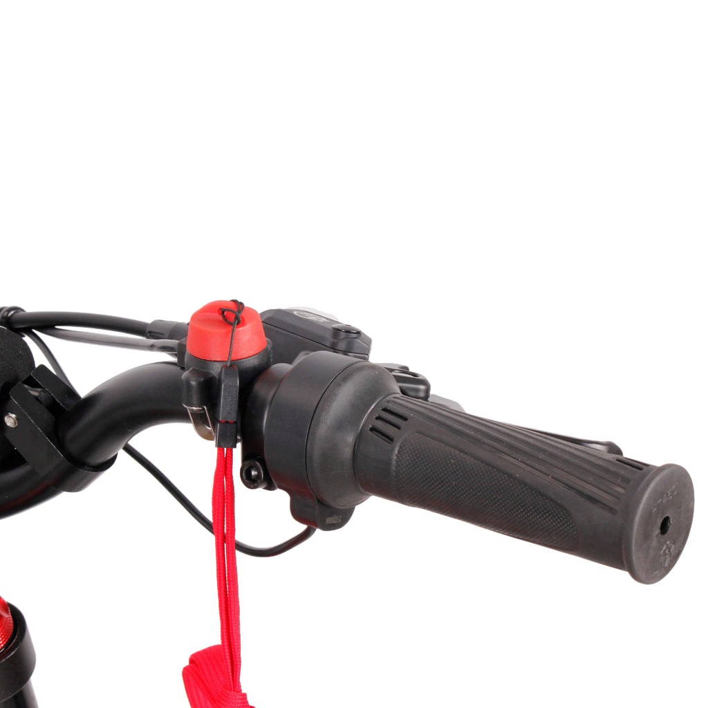 PWR-24 Electric Balance Bike