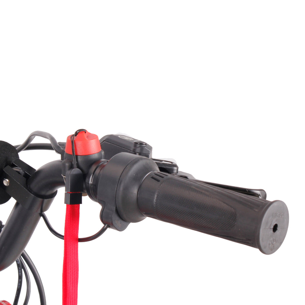 PWR-20 Electric Balance Bike